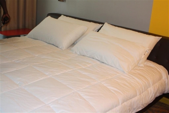 Assemblées annuelles de la Bad à Abidjan : Du 